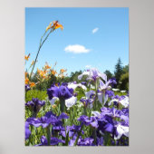Paarse Irises en het Poster Blue Sky (Voorkant)