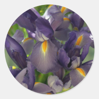Paarse Irises Flower Art Sticker Decals