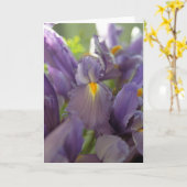 Paarse Irises Foto Wenskaart Kaart (Gele Bloem)