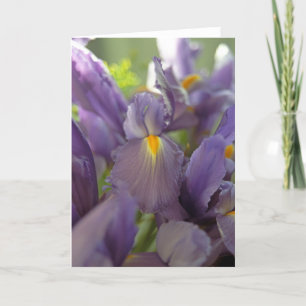 Paarse Irises Foto Wenskaart Kaart