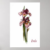 Paarse Irises Gepersonaliseerd Poster (Voorkant)