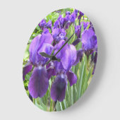 Paarse Irises in Bloom Grote Klok (Hoek)