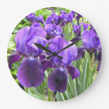 Paarse Irises in Bloom
