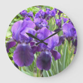 Paarse Irises in Bloom Grote Klok (Voorkant)