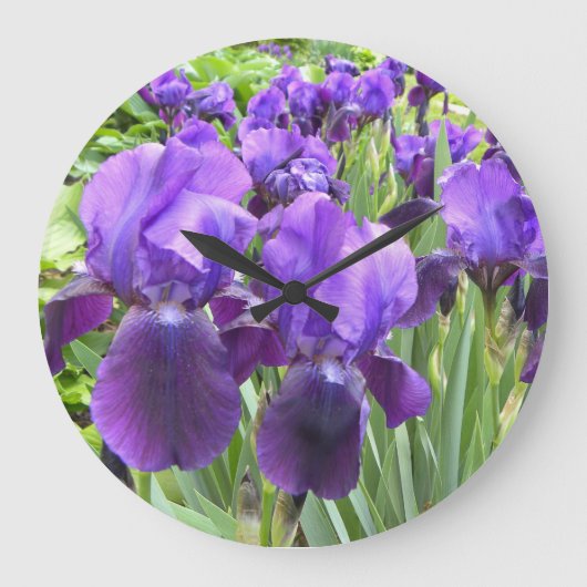 Paarse Irises in Bloom Grote Klok (Voorkant)