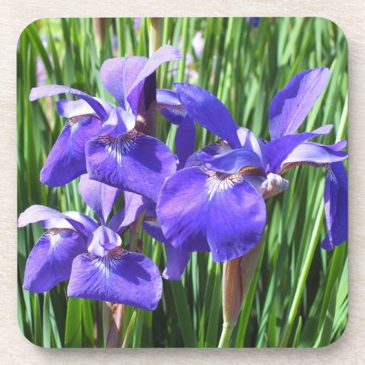 Paarse Irises Onderzetters (Voorkant)