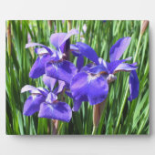 Paarse Irises Photo Plaque Fotoplaat (Voorkant)