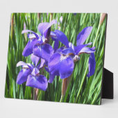 Paarse Irises Photo Plaque Fotoplaat (Zijkant)