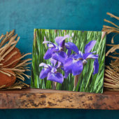 Paarse Irises Photo Plaque Fotoplaat (Zijkant)