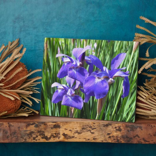Paarse Irises Photo Plaque Fotoplaat (Zijkant)