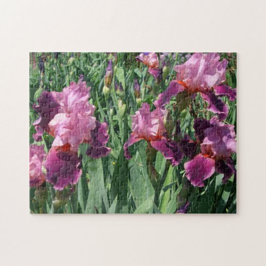 Paarse Irises Spring Floral Legpuzzel (Horizontaal)