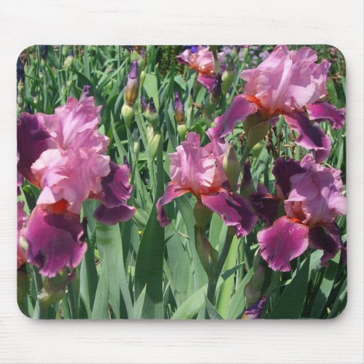 Paarse Irises Spring Floral Muismat (Voorkant)