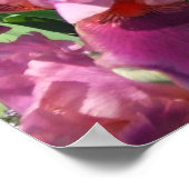 Paarse Irises Spring Floral Poster (Hoek)