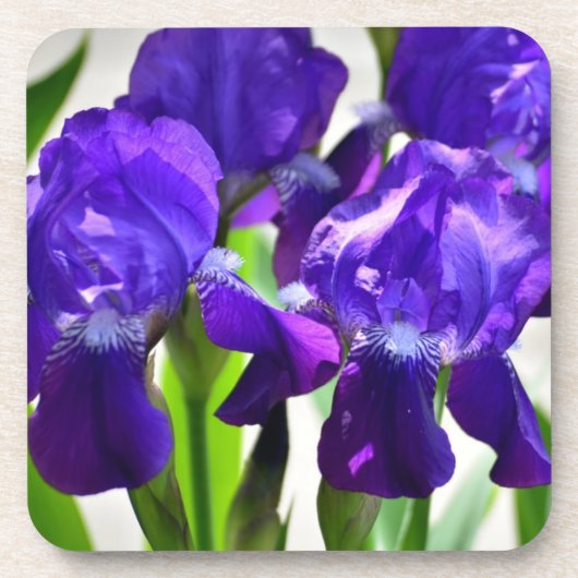 Paarse Irises Vloer Bier Onderzetter (Voorkant)