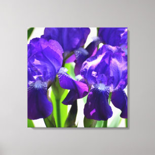 Paarse Irises Vloer Canvas Afdruk