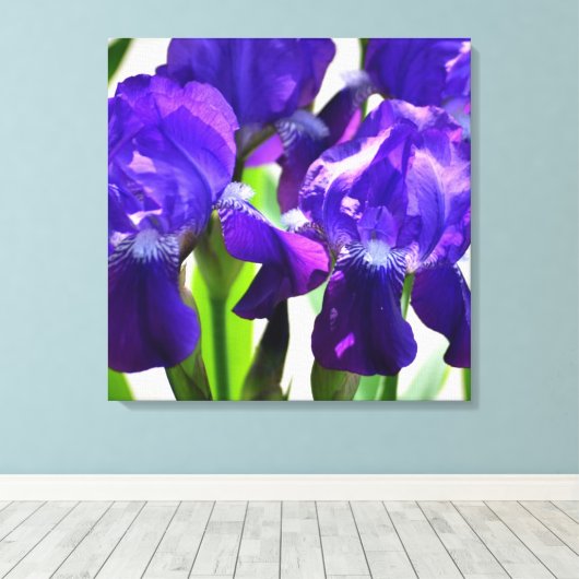 Paarse Irises Vloer Canvas Afdruk (Insitu (Houten vloer))