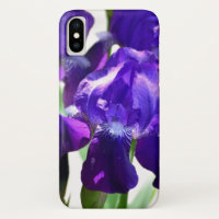 Paarse Irises Vloer