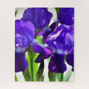 Paarse Irises Vloer Legpuzzel