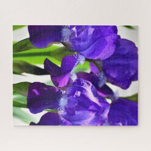Paarse Irises Vloer Legpuzzel (Horizontaal)