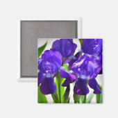 Paarse Irises Vloer Magneet (Voorkant / Achterkant)