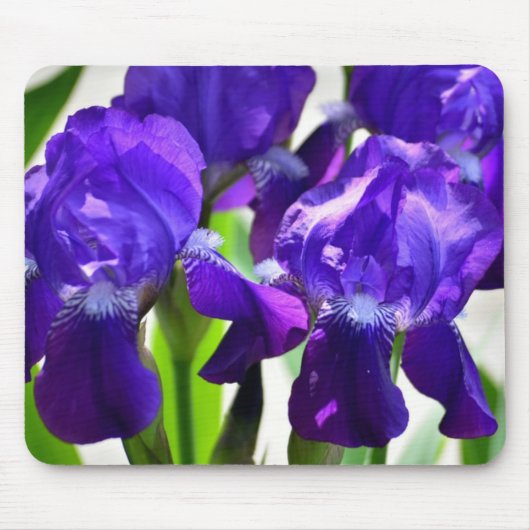 Paarse Irises Vloer Muismat (Voorkant)