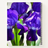 Paarse Irises Vloer Notitieboek (Achterkant)
