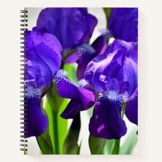 Paarse Irises Vloer Notitieboek (Voorkant)