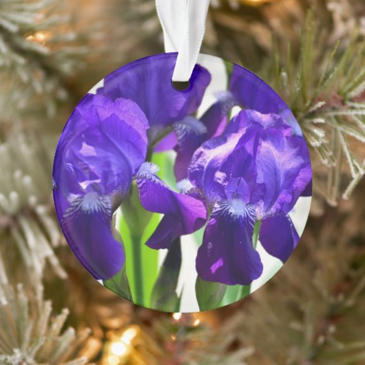 Paarse Irises Vloer Ornament (Boom)