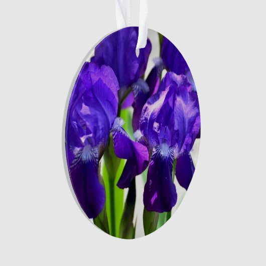 Paarse Irises Vloer Ornament (voorkant)