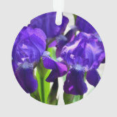 Paarse Irises Vloer Ornament (achterkant)