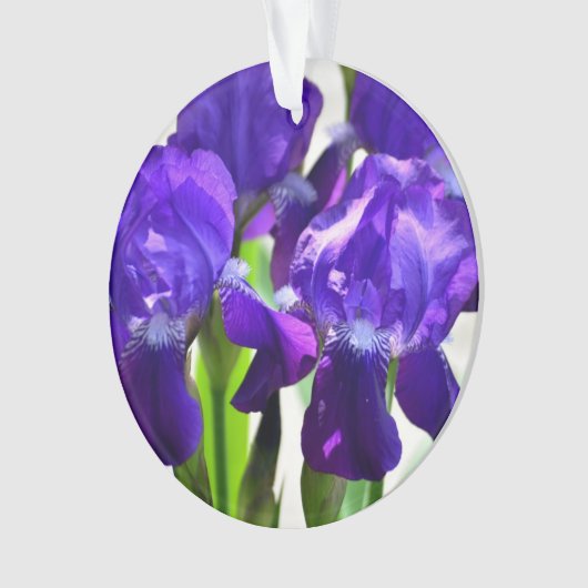 Paarse Irises Vloer Ornament (voorkant)