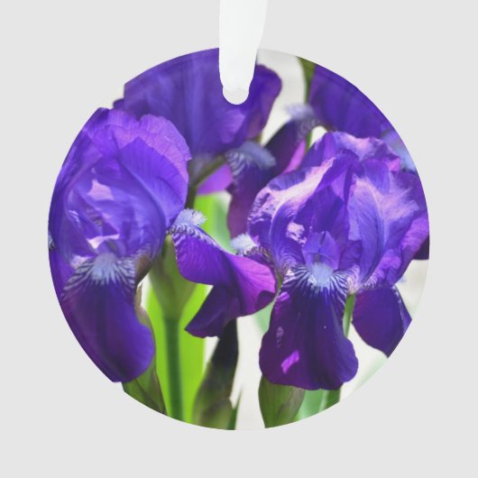 Paarse Irises Vloer Ornament (voorkant)