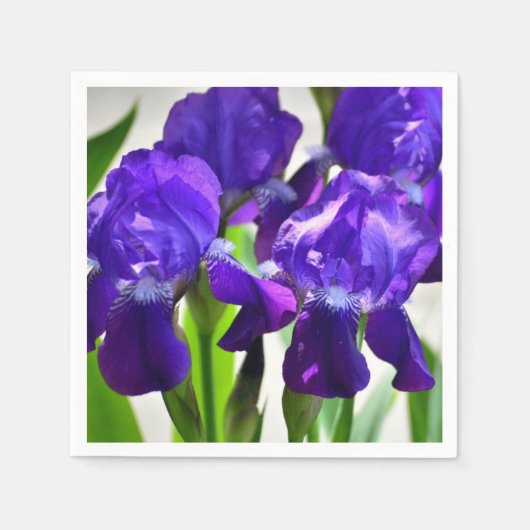 Paarse Irises Vloer Servet (Voorkant)