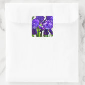 Paarse Irises Vloer Vierkante Sticker (Tas)