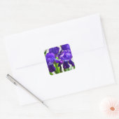 Paarse Irises Vloer Vierkante Sticker (Envelop)