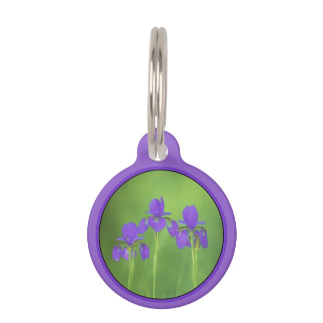 Paarse irisschildering - Oorspronkelijke blowerend Huisdierpenning (Voorkant)