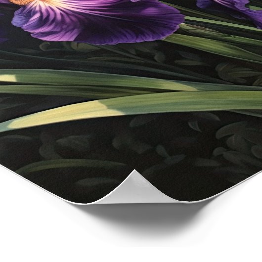 Paarse irissen bloemenkunst print Poster (Hoek)