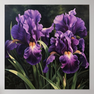 Paarse irissen bloemenkunst print Poster