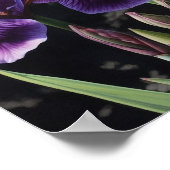 Paarse irissen bloemenkunst print Poster (Hoek)