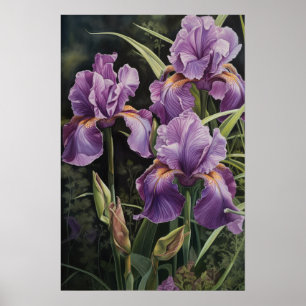 Paarse irissen bloemenkunst print Poster