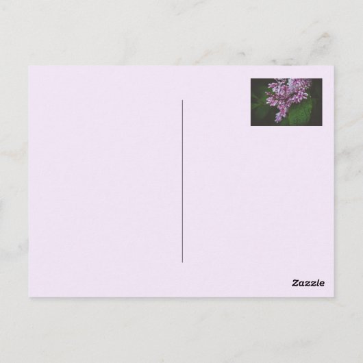 Paarse irissen briefkaart (Achterkant)