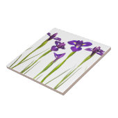 Paarse irissen geïsoleerd op een witte achtergrond tegeltje (Zijkant)