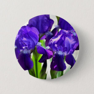 Paarse Irissen Iris Bloem Ronde Button 5,7 Cm