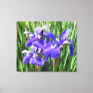 Paarse irissen op doek canvas afdruk