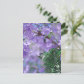 Paarse Jacaranda-boombloemen Briefkaart (Staand voorkant)