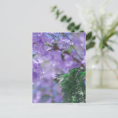Paarse Jacaranda-boombloemen Briefkaart (Staand voorkant)