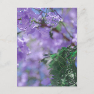 Paarse Jacaranda-boombloemen Briefkaart