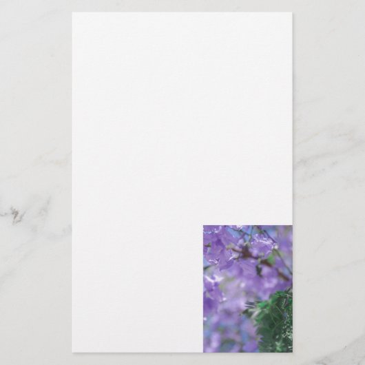 Paarse Jacaranda-boombloemen Briefpapier (Voorkant)
