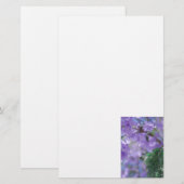 Paarse Jacaranda-boombloemen Briefpapier (Voorkant / Achterkant)