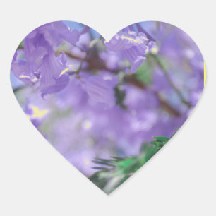 Paarse Jacaranda-boombloemen Hart Sticker